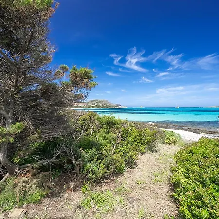 ヴィラ Villa Iole, Casa Sulla Spiaggia スティンティーノ